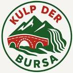 KULP DER Bursa logosu